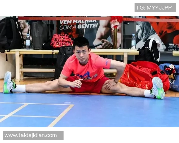 南京羽毛球队实力分析及其在各项赛事中的表现评估与未来发展潜力探讨